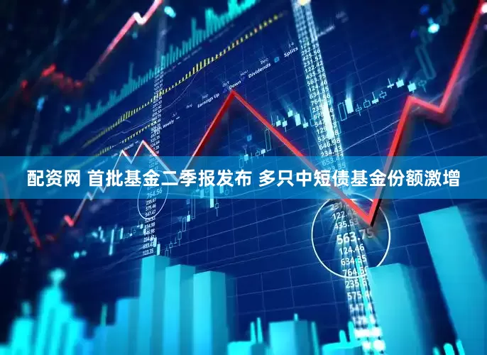 配资网 首批基金二季报发布 多只中短债基金份额激增